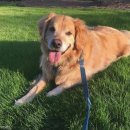 무지개다리 이미지