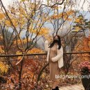 (주)노블아이 산후조리원 네이버블로그