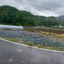 고명리 마을회관 이미지