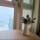 로미스테이 이미지