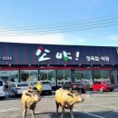 모악산 소야 이미지