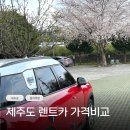 (주)제주미니미니랜드 | 제주도 렌트카 가격비교 돌하루팡 미니 완전자차 최저가 후기