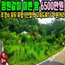여주-0624 네이버블로그