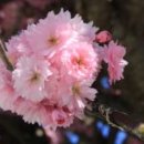 명당1리경로당 이미지
