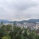 서04-422 | 청룡산과 텃밭까지 왕복 산행후기