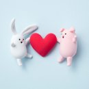 한우리한방병원 이미지