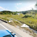 토지식당 이미지