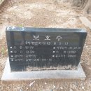 무접 | 도심속 노거수가 있는 무접(무점)마을