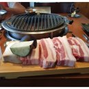 제주복돼지 이미지