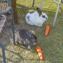 선흘에 머물다 이미지