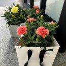 법원로3길 23 이미지