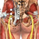 두멍 | 환도통방석 중 Best, 화산방석 내돈내산 솔직후기