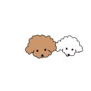 견생폼사 이미지