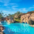 ㈜호텔롯데 롯데호텔제주 - 8811 | ㈜호텔롯데 롯데호텔제주