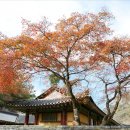 백양사(천안) 이미지