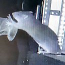 gc-camera-001 이미지