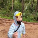 오봉산여가녹지 이미지