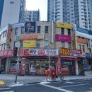 용인대 다정태권도 이미지