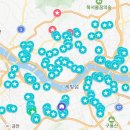 도토리군버섯양 이미지