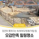 빙계군립공원(빙산사지오층석탑) 이미지