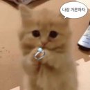 (주)모어투어 이미지