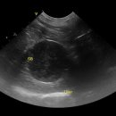 천호동물병원 이미지