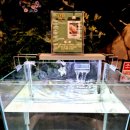 키즈금강유치원 | [테마파크] 쥬뗌므 키즈랜드 무료 이용팁