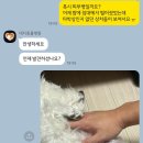 대디동물병원 이미지