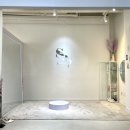 세이헤어 이미지