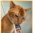 아이조아요양보호소 전남광주점 이미지