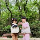 달천 유아숲체험원 이미지