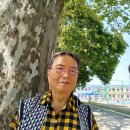 미당초등학교 이미지