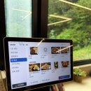 자이안도서관 | 용인 기흥구 맛집 중국집 도서관뒷집 짬뽕 짜장면 탕수육