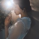 플라타너스스튜디오