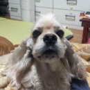 탱고스쿨 이미지