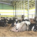 연화목장 이미지