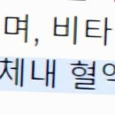 헬스라이프 이미지