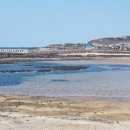 제주무릉도원집 이미지