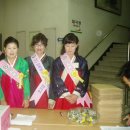 양천 문화회관 대극장 Daum카페