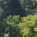 온나펜션 이미지