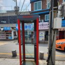 정동진 당일치기 레일바이크 스카이워크 수에르테 고기랑조개랑