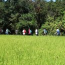 능실초등학교 이미지