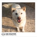 동실농장 이미지