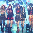 스타다이스 이미지