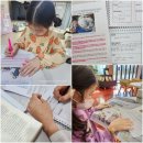 성산 꿈꾸는 | 오늘도 나는 신문 읽는 어린이입니다. 꿈꾸는 쌤의 NIE 2월 [하루 한 장 신문] 챌린지 후기
