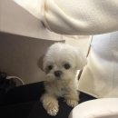 정동진제이 | 밀린 일상