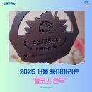 서울 동아마라톤 완주, 인생이라는 마라톤