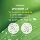 그린시너지 이미지