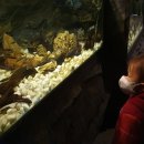 금소생태공원3 이미지