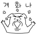 애플펫